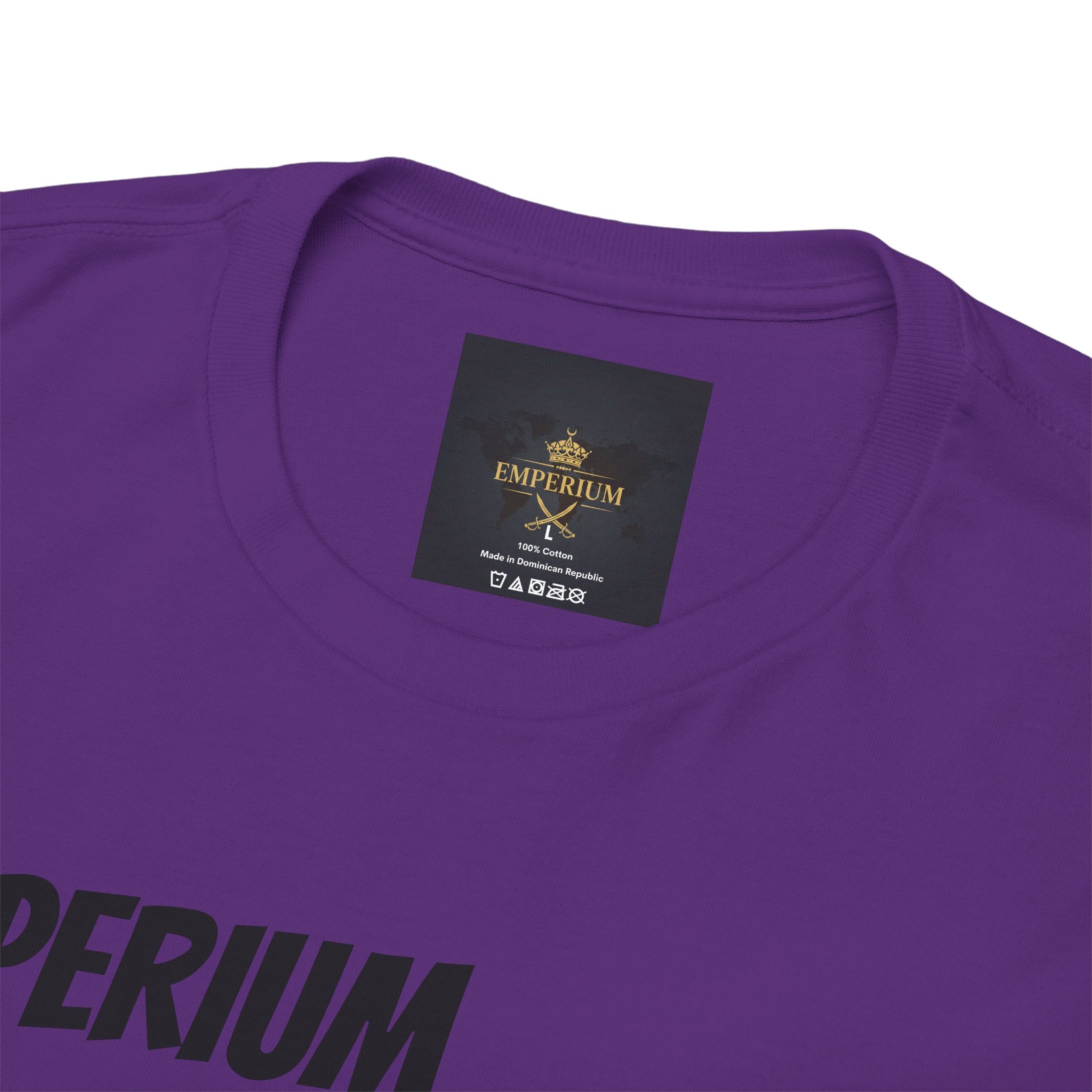 T-Shirt Ragnar Lothbrok — King of the Vikings